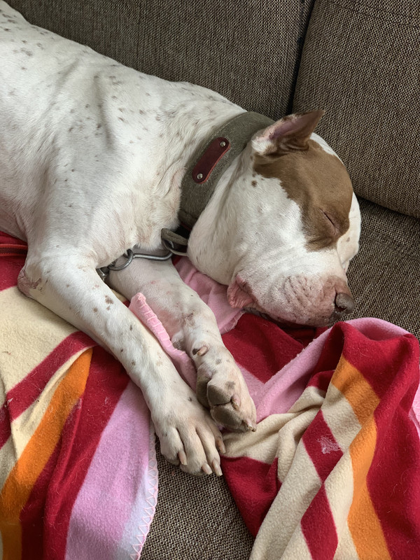 76941AF2-821E-43DB-A5C5-969EB82A5A3A