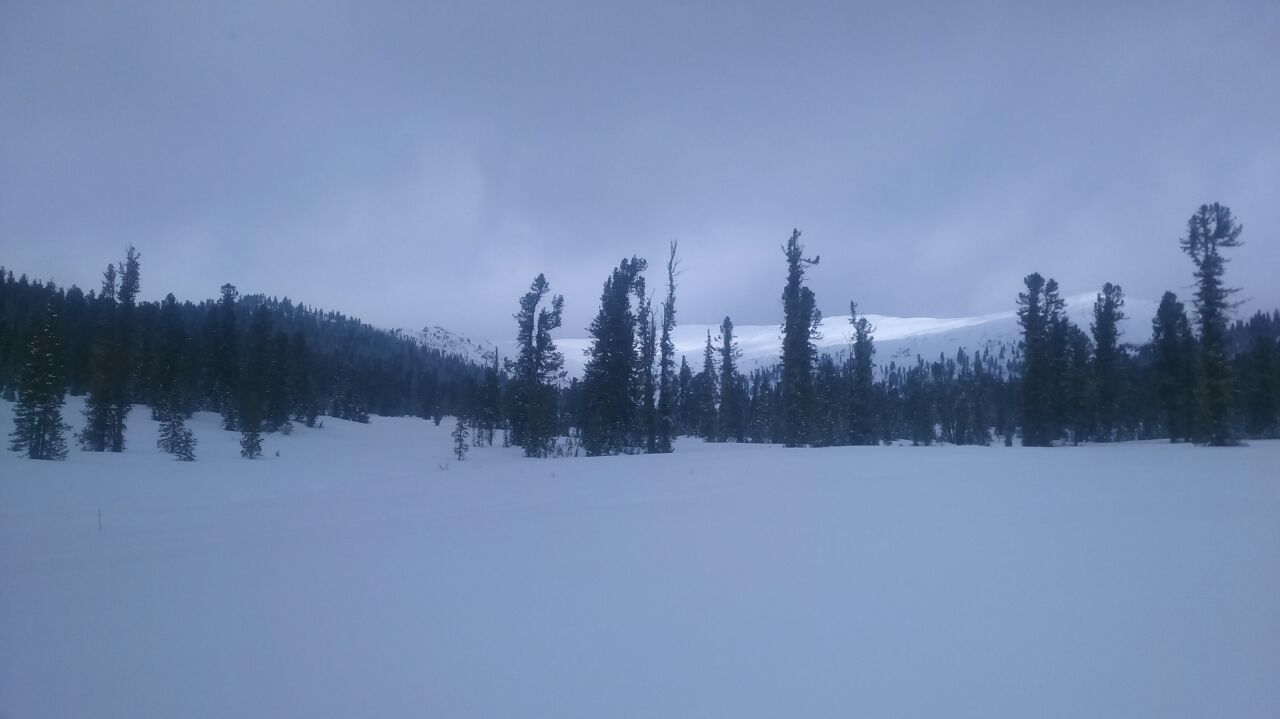 IMG_20190528_220358_731