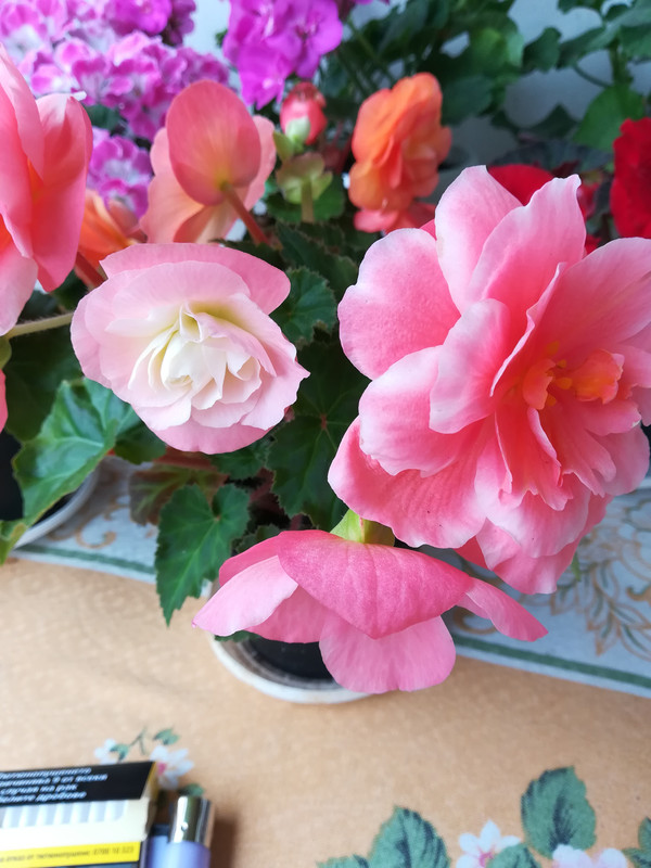 IMG_20190506_175850
