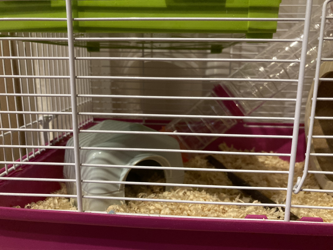 AAF982FB-6035-4A62-ACE5-717920AA210D