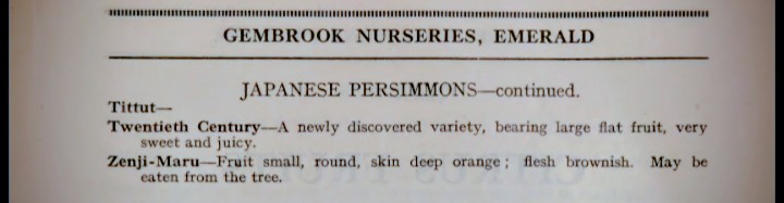 Screenshot 20260125 080733 2