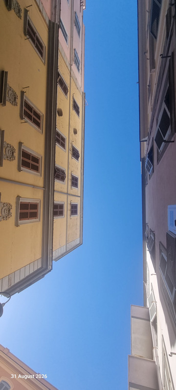 20260831-170028.jpg