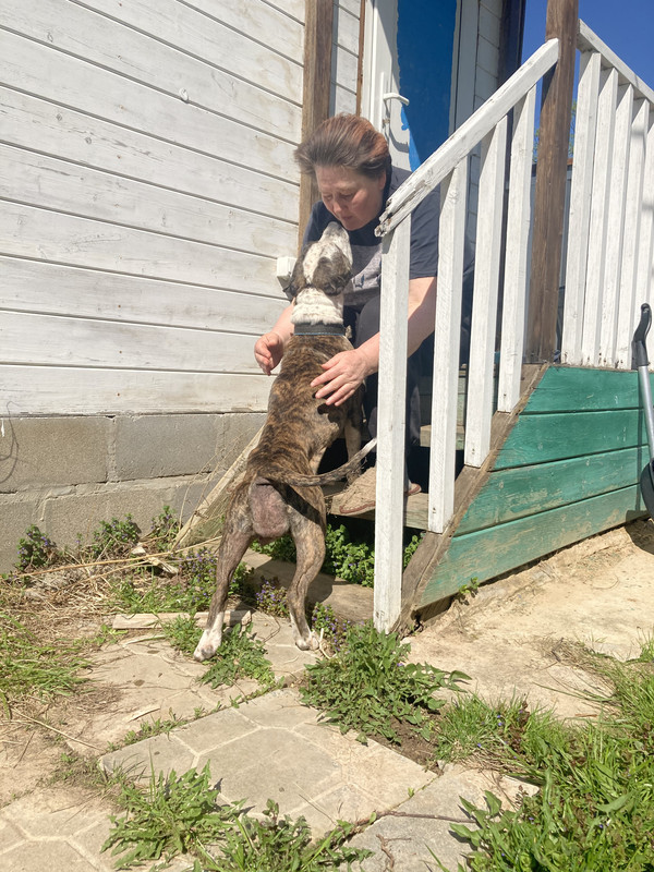 19223820-C98D-4218-9830-1E97CF0B235A