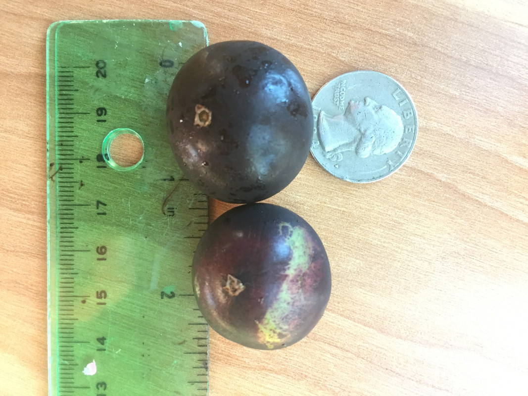 820B511E-8A8F-4BC2-BAE9-F16327B87A63