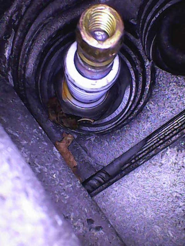 Image_2025-04-14 09_40_21_196