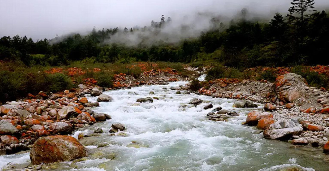 1e8890202ba341513ff211b8cd3676d2