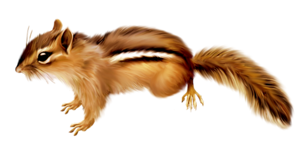 TADD_elements_ShimmerFall (66)