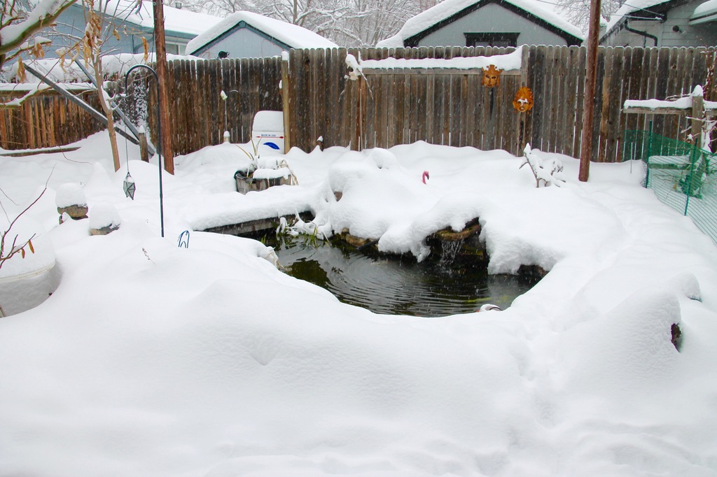 pond in deep snow