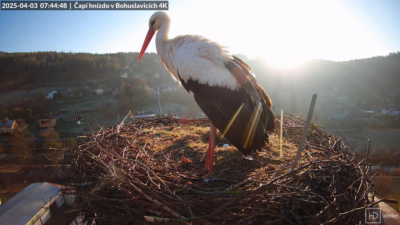 Živě z čapího komína firmy KARA v Bohuslavicích u Trutnova 5-50-4 screenshot