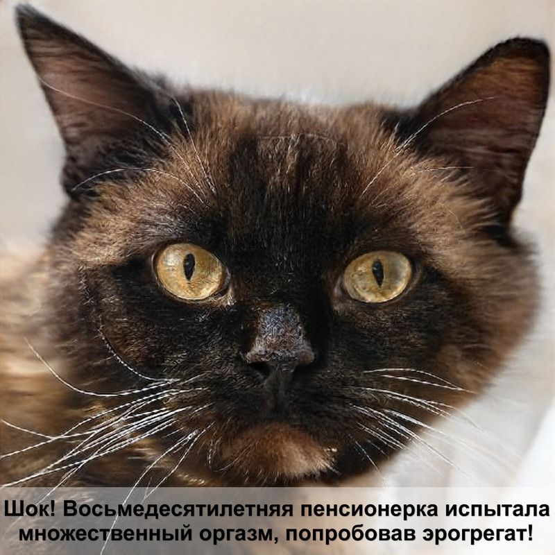 куда делать укол кошке