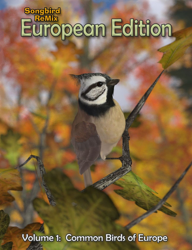 10065 songbird remix european edition main