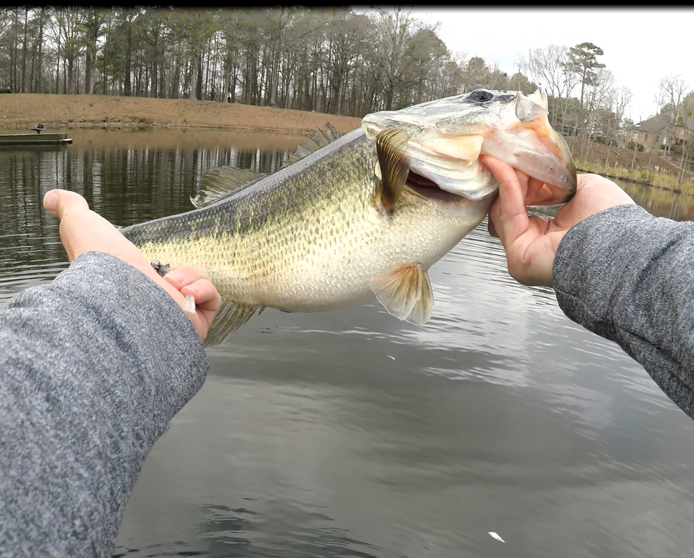 stupid-fat-3lb-class-fish-on-drift-fry-2