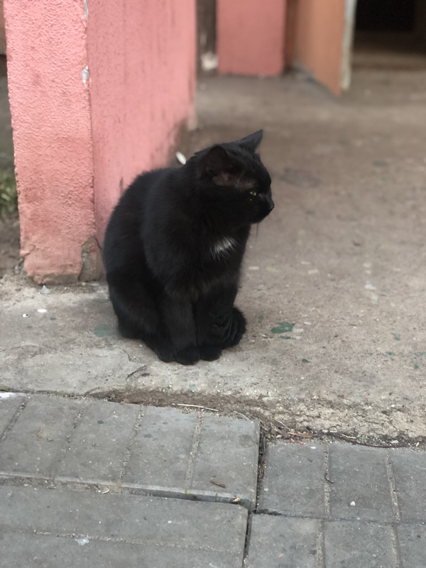 D5630A8C-5AC9-472F-8E44-BA8B427A0A44