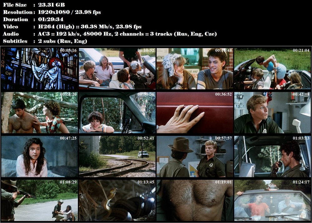 Mělký hrob / Shallow Grave (1987)