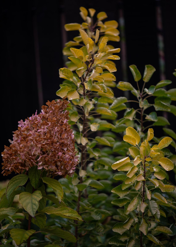 IMG-142f2658c5571e42c3006f3c05fdf62c-V