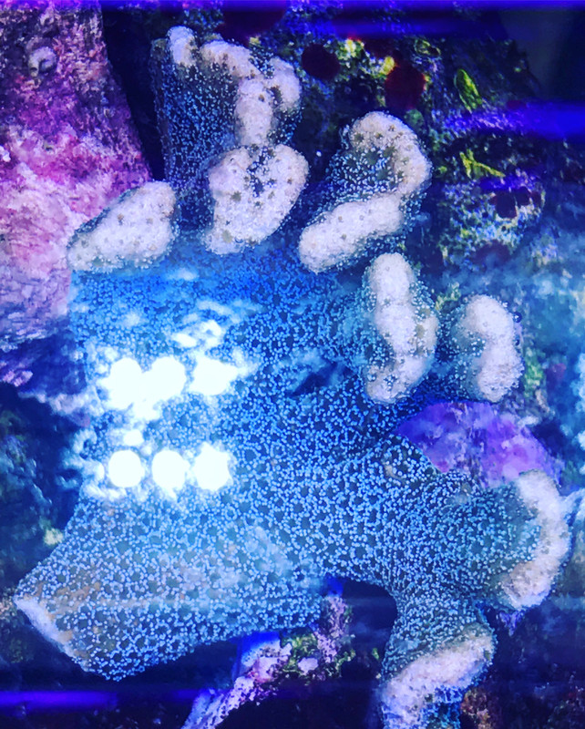 8F7BFDCC-9709-4C41-8803-EF5CA594EC77