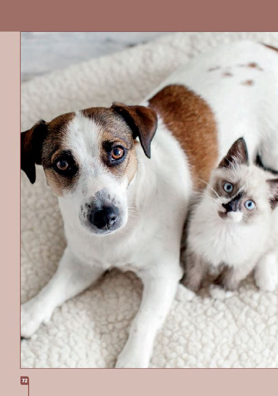 Sal Nat Ext Giu-Lug 2023 (9)