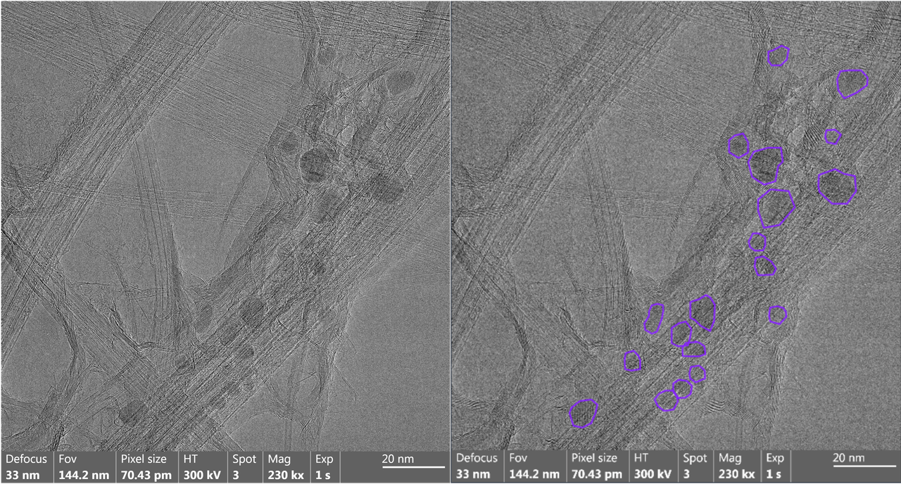 Side-by-side comparison of a raw TEM image and the same image with manual annotations
