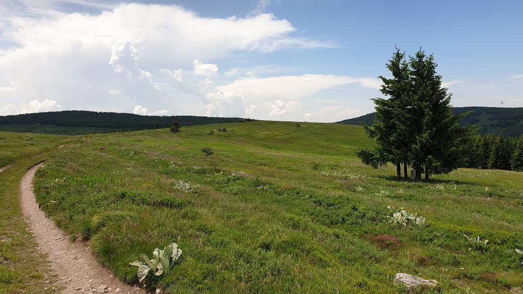 Slika