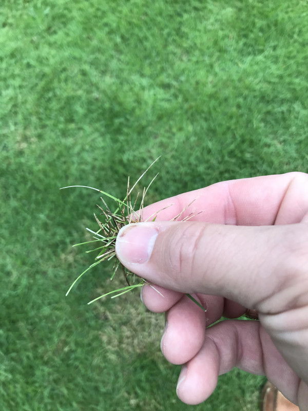 4F7B646B-E06A-41B6-8F86-0229330B2CA2