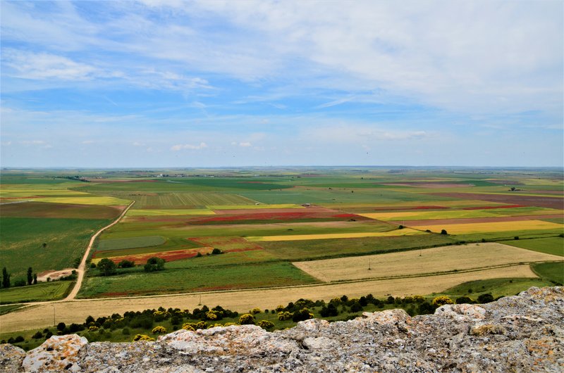 URUEÑA-5-6-2016 - VALLADOLID Y SUS PUEBLOS-2012/2016 (34)