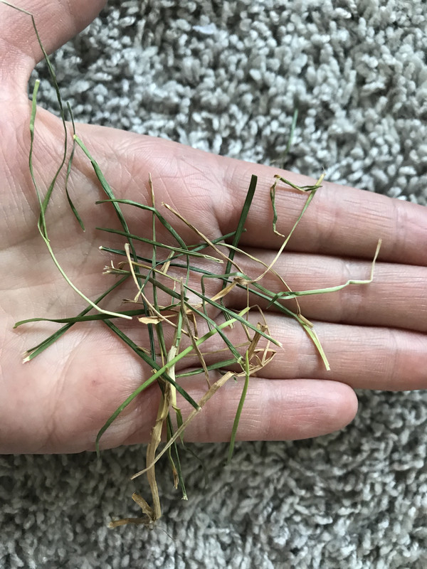 1E57BE42-AB51-444A-9F4C-B7317F5F36D9