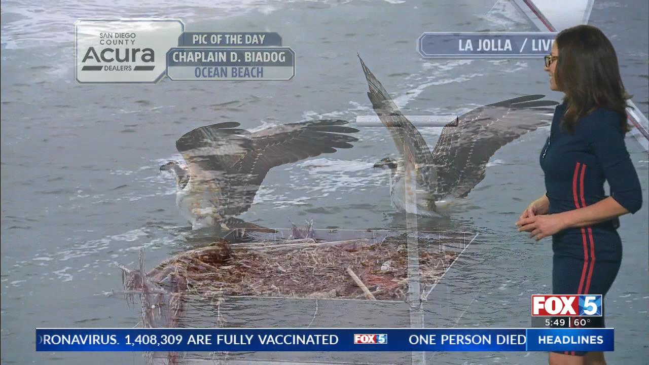 05.21 - 13.00.00 - FOX 5 Morning News at 5 00am  ᴺᵉʷ. Local news, wea..._001.ts_snapshot_03.59_[2021