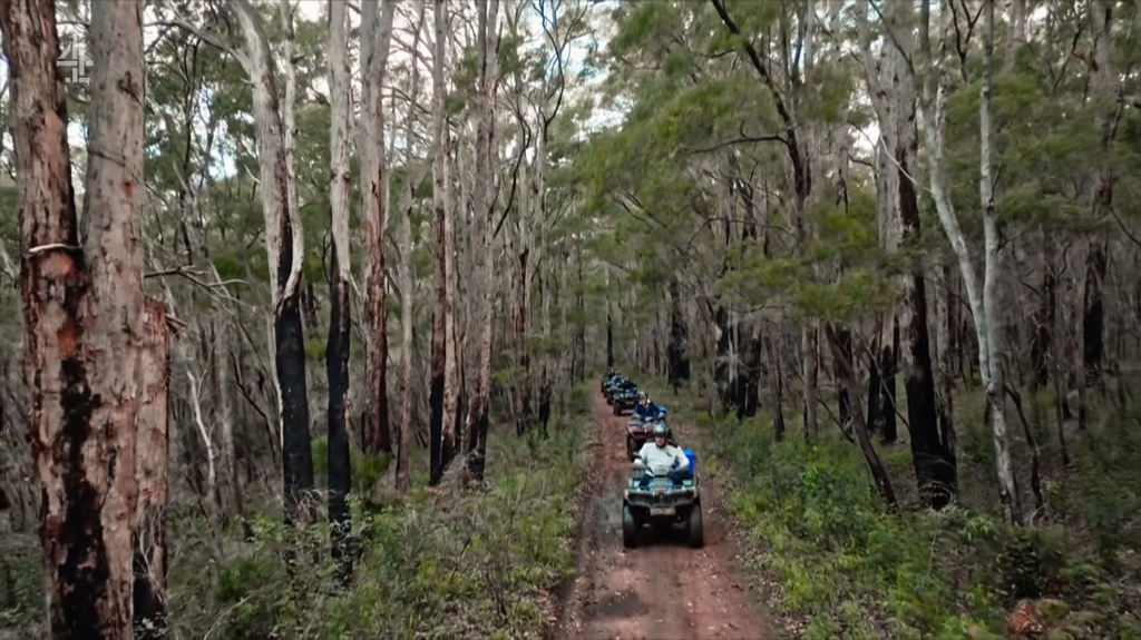 [Image: smfub064m3ob.png]