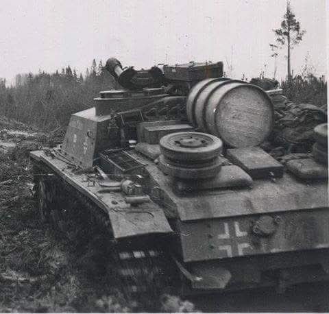 FB_IMG_1754200420096