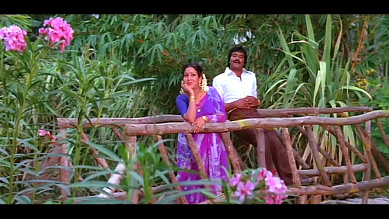 vlcsnap-2022-09-24-20h56m27s274