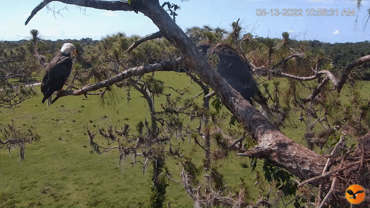 Webp.net-gifmaker (7)