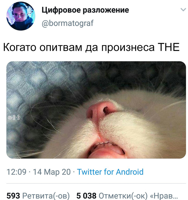 14111056