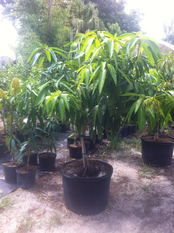 photo 1(12)