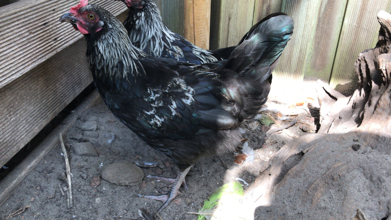 E073AD79-C1DD-4172-A0B2-07943CB2C9BD