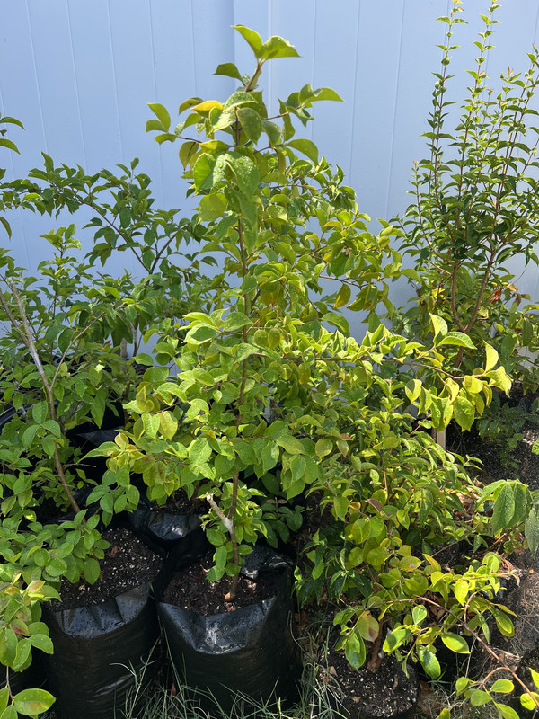 CFBD7E85-7550-49BE-A230-45F44755F15F