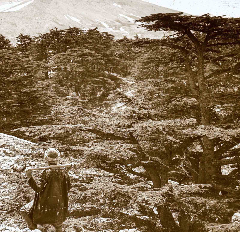 mountains-holy-land-old-photographs (17)