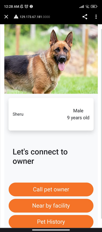 Show Pet Details on Web Page