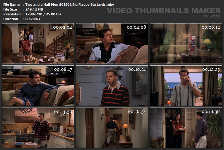 Two and a Half Men S01E02 Big Flappy Bastards.mkv