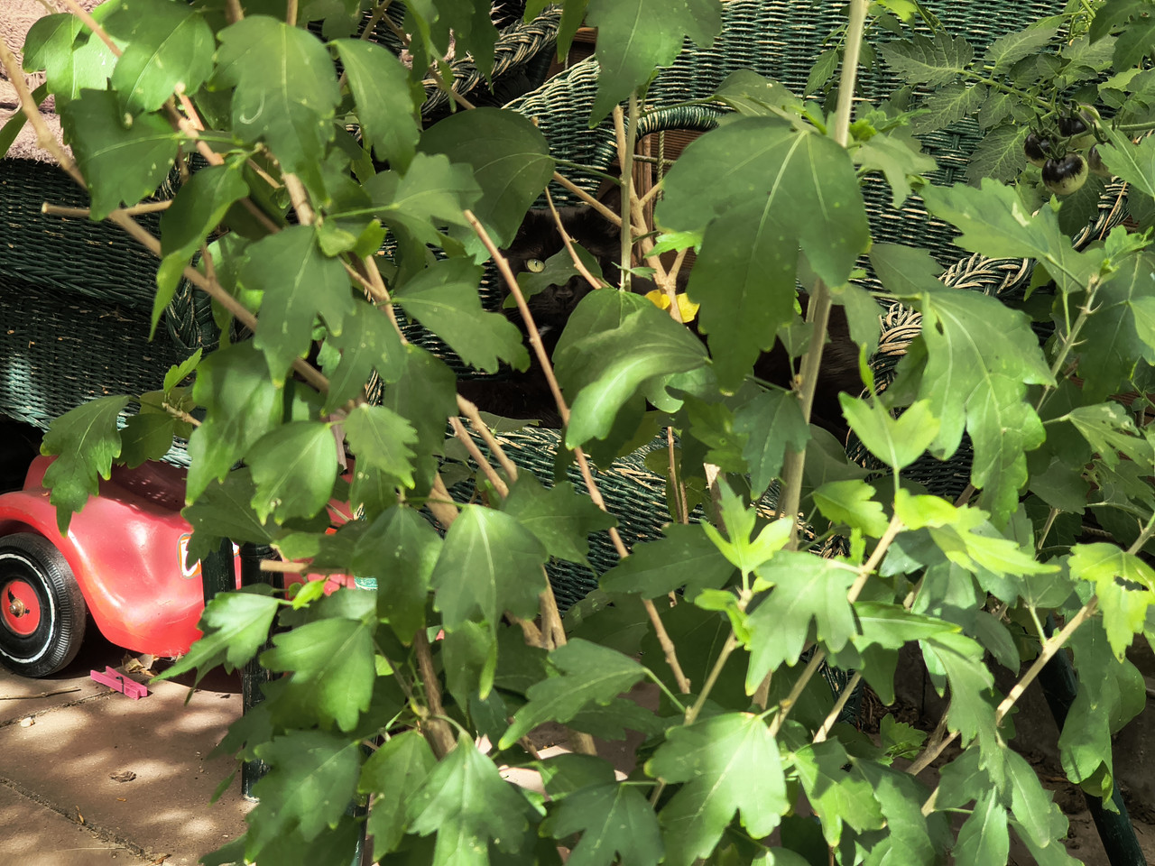 IMG 20260919 143216592 HDR
