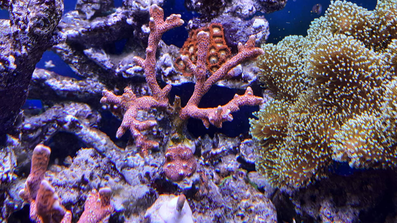 WhatsApp Image 2021-06-10 at 11.35.06 (1)