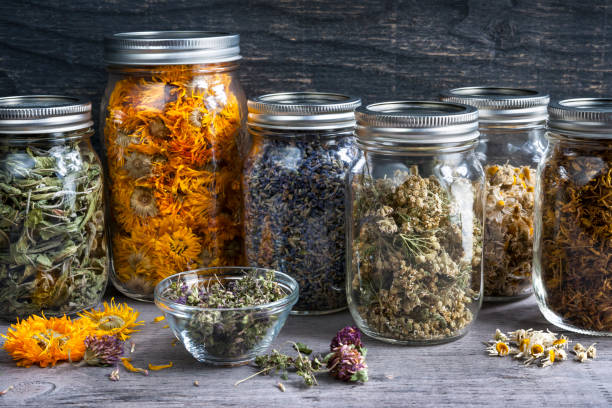 Wellness Teas