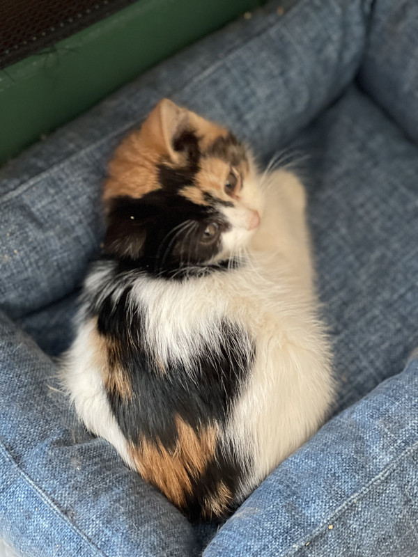 AC52E8F4-0D6E-4FFB-9F77-FF0A6BE8C074