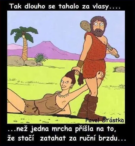 Obrázek