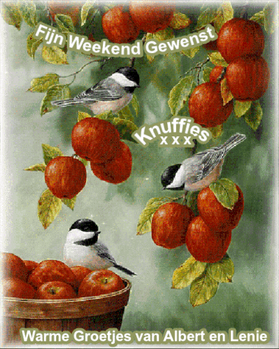 An den Beitrag angehängtes Bild: https://i.postimg.cc/L4Cm2nvT/Fijn-weekend-gewenst-appels-meesjes-knuffies-399-2.gif