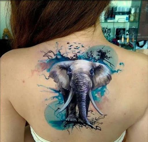 elephant