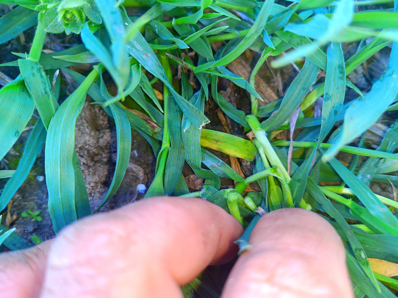 IMG 20260309 130104 217