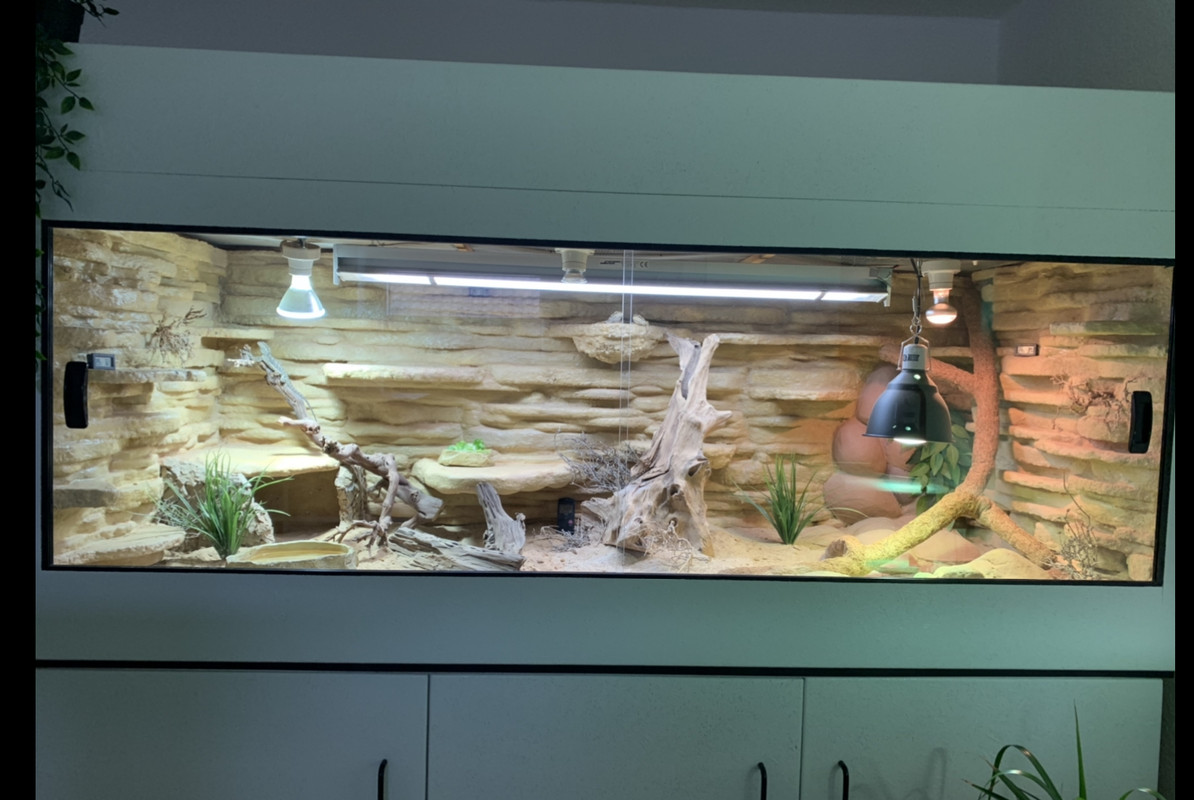 14E175AE-7FD4-479C-A918-4273706BFCE7