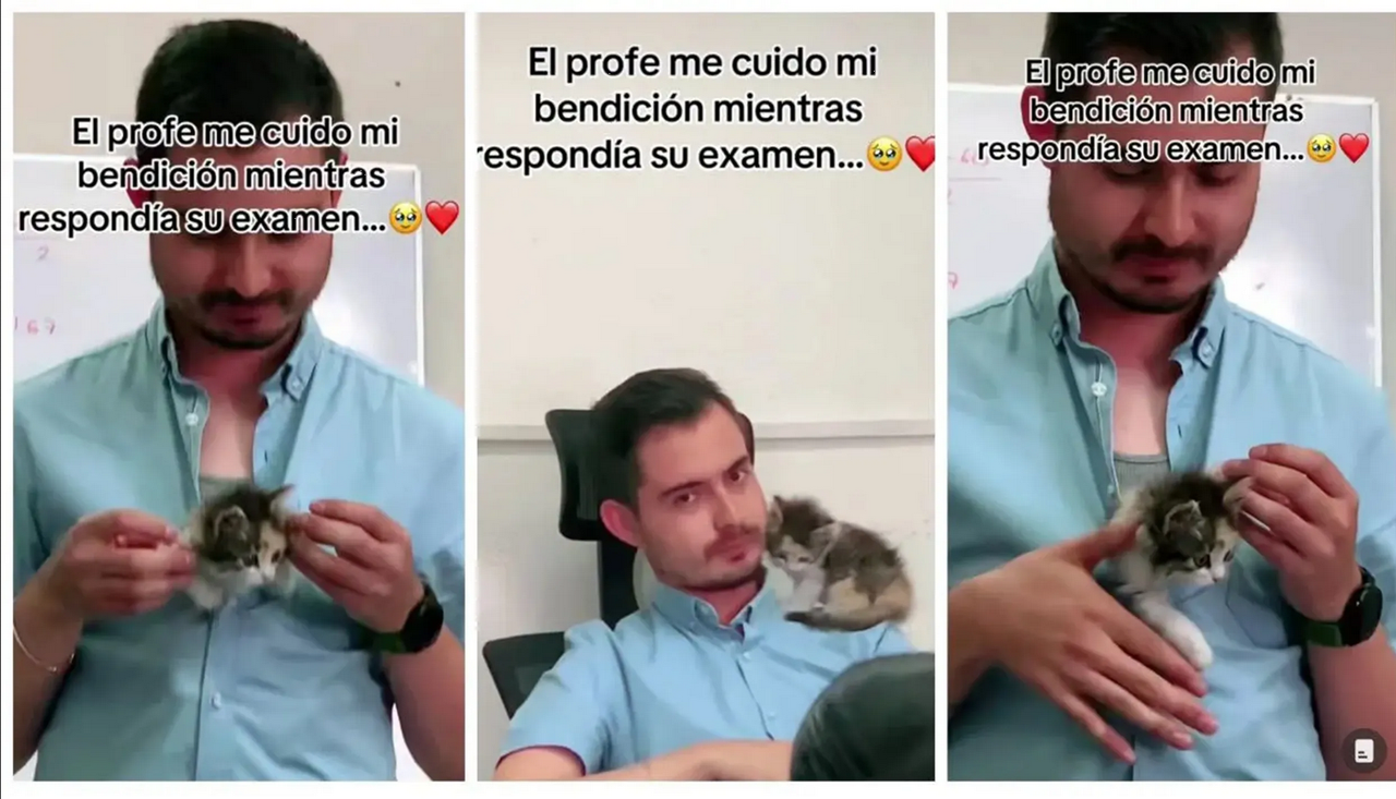 Profesor se hace viral por tierna ayuda: se hace cargo de una “michi bendición”