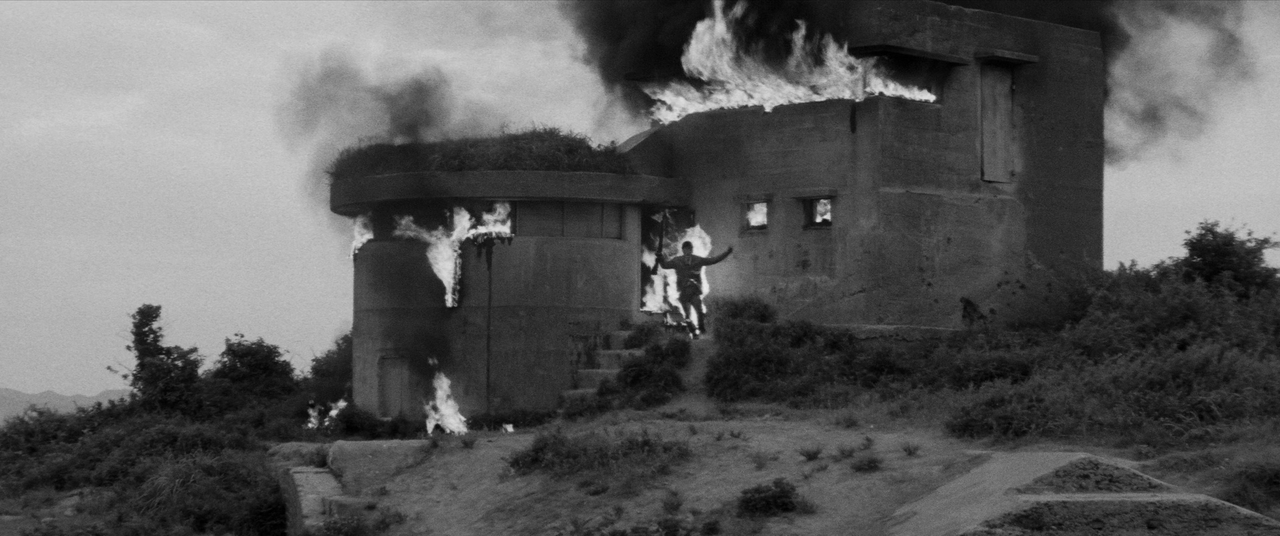 vlcsnap-2025-01-21-02h31m54s599