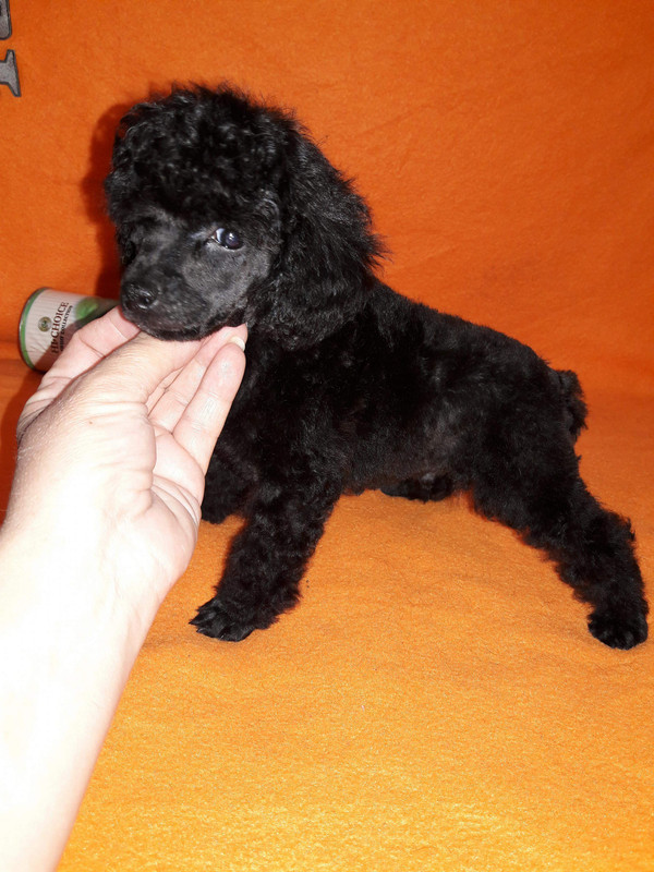 received_2102617450012763